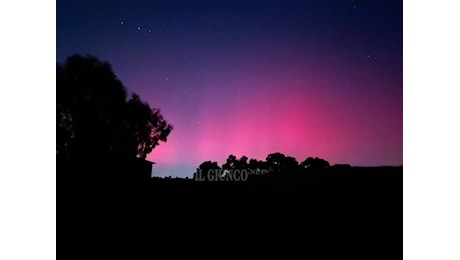 L’aurora boreale colora di rosa i cieli della Maremma: lo spettacolo nelle foto dei lettori