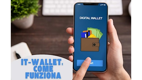 It Wallet, non impazzire: ti spiego come aggiungere i tuoi documenti ed usarli da smartphone