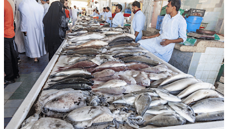 Le preferenze dei consumatori guidano l’acquacoltura negli Emirati Arabi Uniti