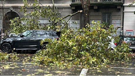 Maltempo, allerta arancione per rischio idrogeologico in Lombardia. Vento e alberi caduti in città a Milano, due feriti lievi