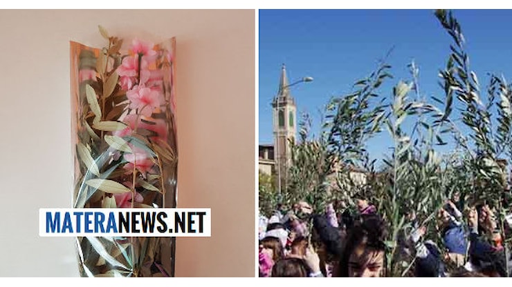Oggi è la Domenica Delle Palme, Gesù entra a Gerusalemme: a tutti un augurio di Pace - Matera News Oggi è la Domenica Delle Palme, Gesù entra a Gerusalemme: a tutti un augurio di Pace - Matera News