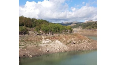 Piove in Sicilia ma nelle zone sbagliate, gli invasi restano semivuoti. Cocina: Serviranno altri temporali